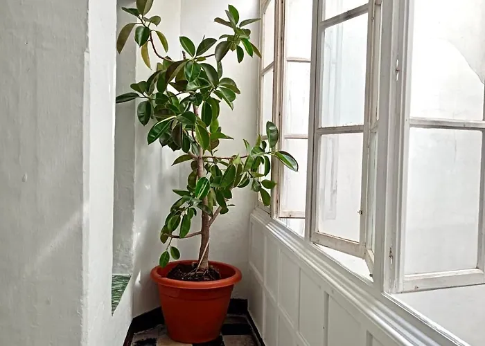 Lägenhet Precioso Apartamento: La Luz De